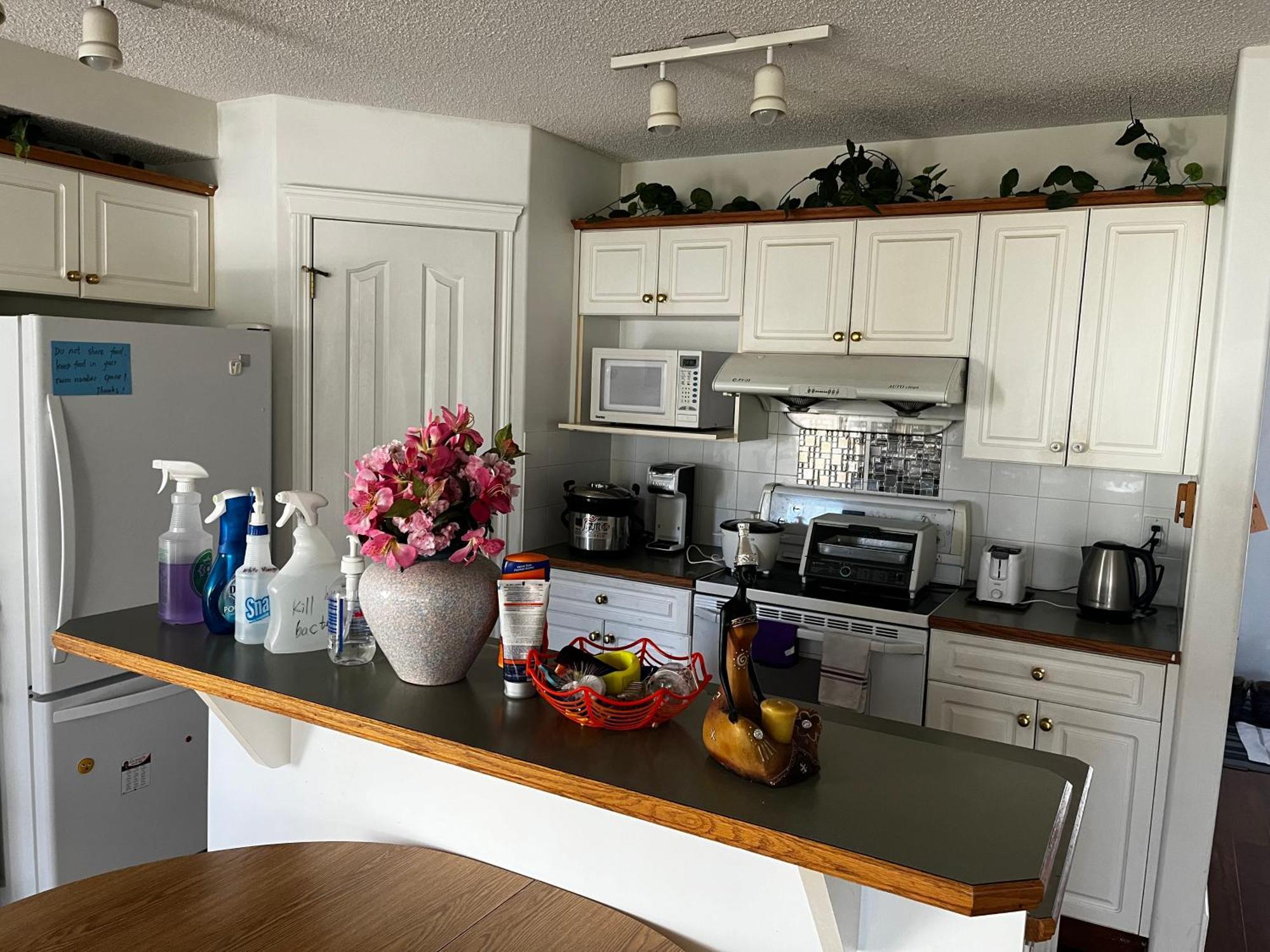 Hidden Valley New Basement Suite With Private Bathroom! Calgary Extérieur photo